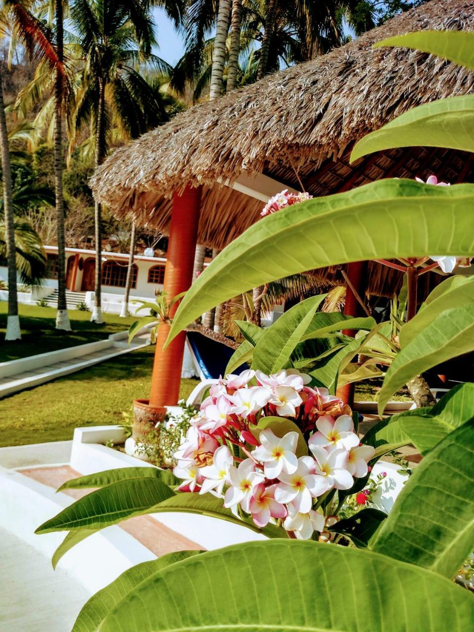 Hotel y Club Campestre Altos Paraiso Puerto Escondido  Exterior foto